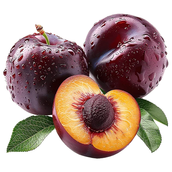 Super Pop Mango - Image 3